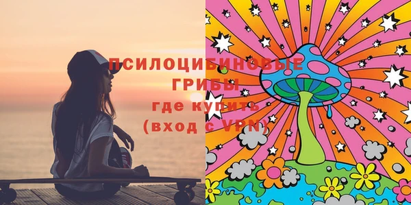 соль ск Аркадак