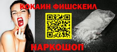 крисы Кингисепп