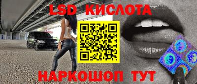 крисы Кингисепп