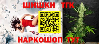 крисы Кингисепп