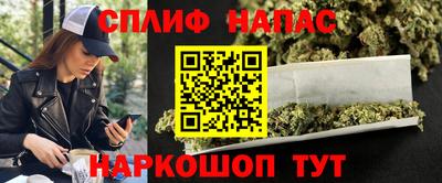 крисы Кингисепп