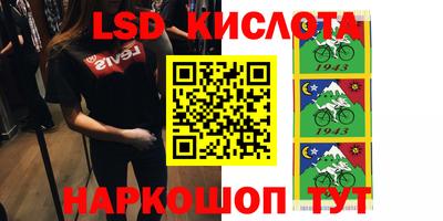 крисы Кингисепп