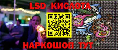 крисы Кингисепп