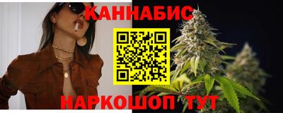 крисы Кингисепп
