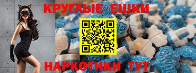 крисы Кингисепп