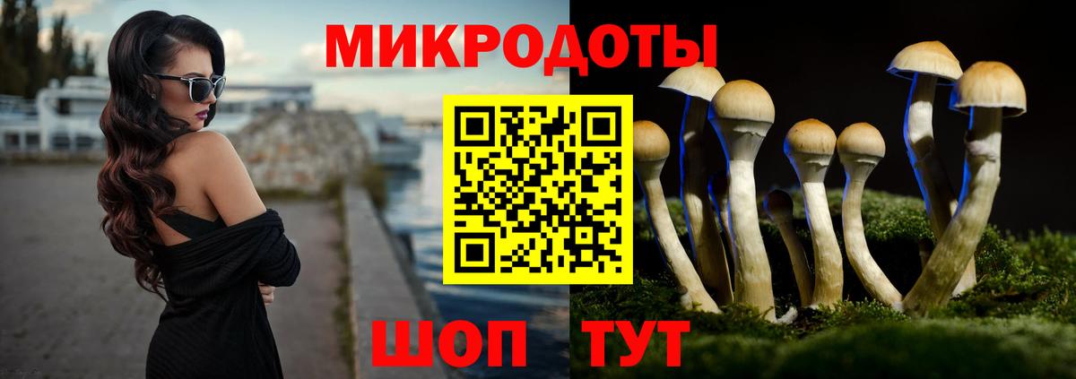Галлюциногенные грибы Cubensis  Галлюциногенные грибы Psilocybine cubensis  Вход с VPN  Краснокаменск 